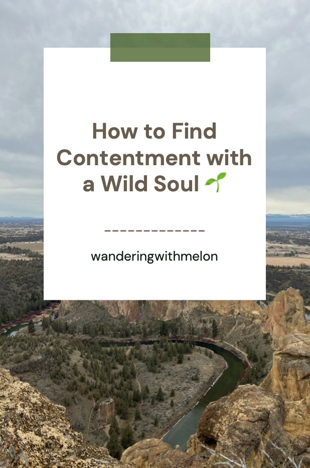 How to Find Contentment in Life as a Wild Soul